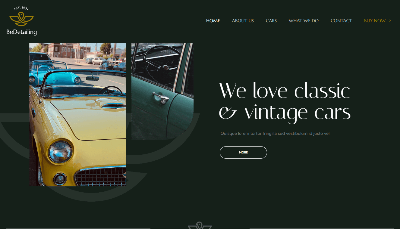 Screenshot 4 - Siti Web per Concessionarie Auto